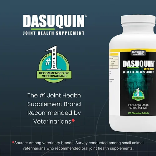 Miniatura 3 de Nutramax Dasuquin con MSM masticables, perro grande, 150