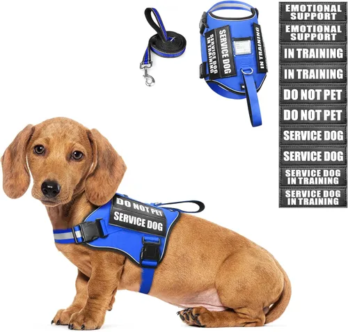 Miniatura 25 de Juego de arnés y correa para perro de servicio, chaleco de entrenamiento para perros con 10 parches para perros, arnés y chaleco para perros de Azul