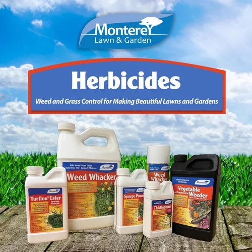 Miniatura 5 de Monterey Thistledown incluido con cuchara medidora, concentrado de control de cardo y trébol herbicidas, 8 onzas
