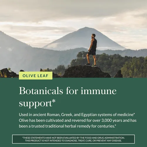 Miniatura 5 de Gaia Herbs Olive Leaf - Apoyo tradicional para la salud inmunológica, suplemento para el sistema inmunológico con extracto de hoja de oliva