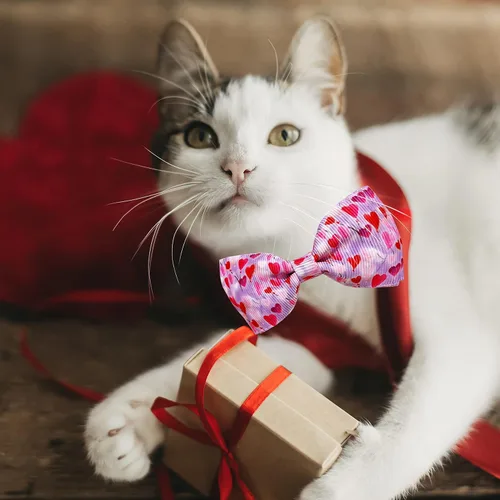Miniatura 7 de Juego de collar de gato con pajarita de San Valentín con campana, collar de gato con corazón rosa para niños y niñas, gatitos