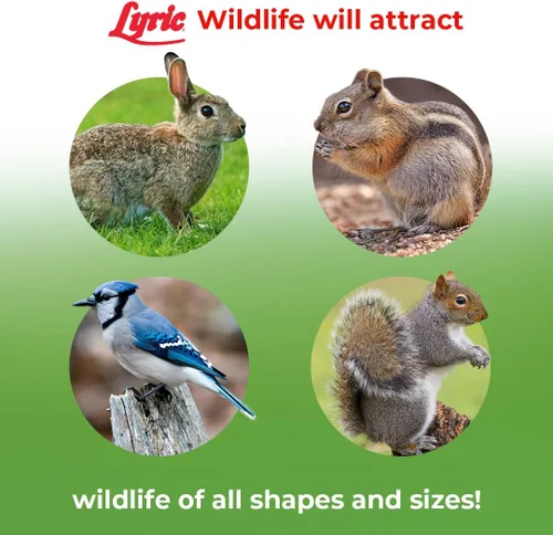 Miniatura 5 de Lyric Alimento para Vida Silvestre para Ciervos, Ardillas, Pavos y Conejos, Semillas para Pájaros Silvestres para Comederos Exteriores, Bolsa de 10