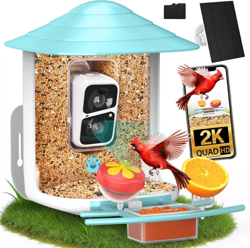 Miniatura 19 de birdsnap® TUC - Comedero para pájaros con cámara 2K HD en vivo con tarjeta de 32 GB, detección y notificación automática de inteligencia artificial
