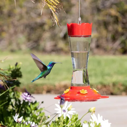Miniatura 2 de MEKKAPRO Comedero para colibríes para exteriores hecho de vidrio, comedero para colibríes para exteriores, colgante a prueba de hormigas y abejas