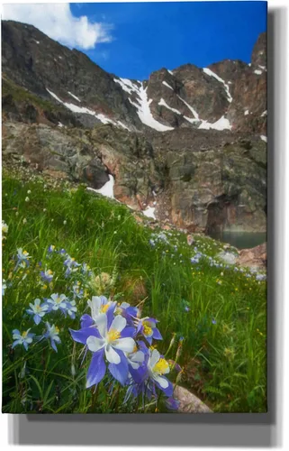 Miniatura 9 de Epic Graffiti 'Alpine Columbine - Parque Nacional de las Montañas Rocosas' por Darren White, arte de pared giclée, 18 x 26 pulgadas