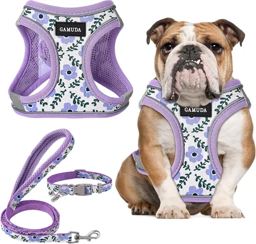 Miniatura 17 de GAMUDA Juego de Arnés, Collar y Correa para Perro Pequeño, Paso a Paso Sin Estrangulamiento Sin Tirones de Malla Suave Chaleco Ajustable para Perro