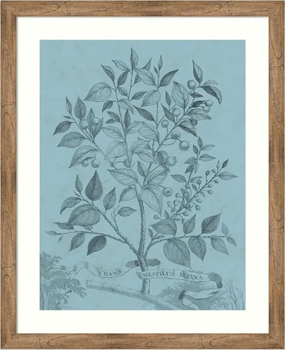 Miniatura 9 de Amanti Art Vision Studio - Póster enmarcado de 24 x 20 pulgadas, diseño botánico en V verde azulado por Vision Studio, arte de pared de naturaleza