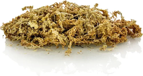 Miniatura 5 de Musgo Sphagnum Premium de Nueva Zelanda por Gardenera - Musgo Sphagnum Orgánico de Fibra Larga Mezclado a Mano para Orquídeas - 4 Cuartos