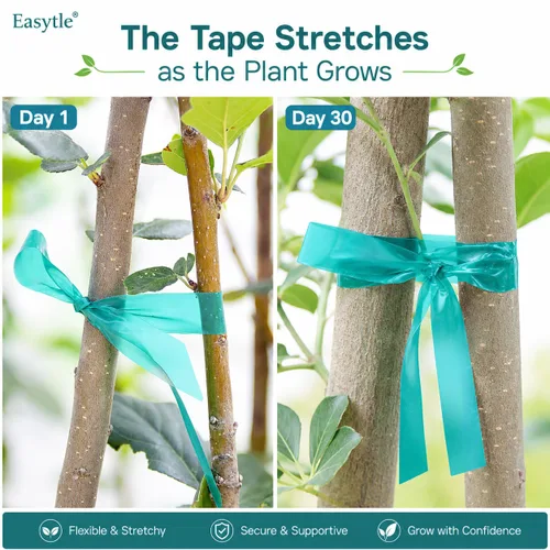 Miniatura 8 de Easytle Paquete de 2 rollos de cinta elástica de 150 pies, cinta de amarre de jardín de 1/2 pulgada, cinta gruesa y resistente para plantas, estacas