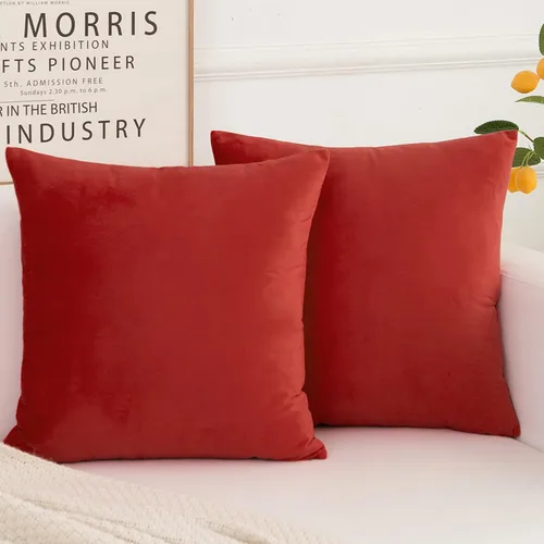 Miniatura 11 de Juego de 2 fundas de almohada decorativas de terciopelo, funda de cojín cuadrada suave para decoración del hogar para sala de estar, sofá o cama