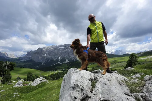 Miniatura 2 de Neewa Arnés deportivo (XS, azul), arnés acolchado para perro, con mango de control, fácil de poner y quitar
