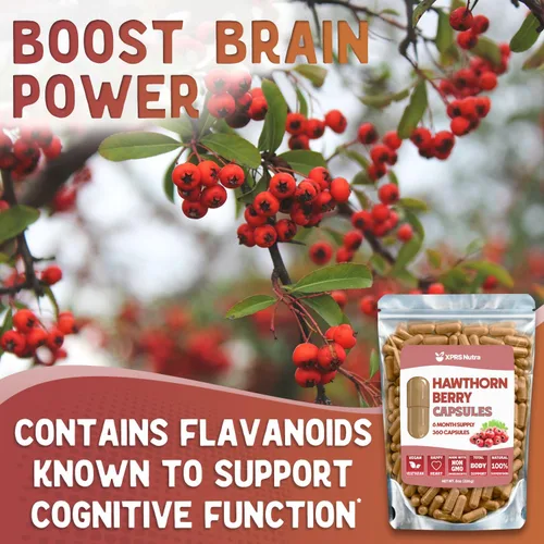 Miniatura 3 de Hawthorn Berry Cápsulas en polvo – 360 unidades (suministro para 6 meses) – Cápsulas de bayas de espino premium para apoyo cardiovascular – Polvo