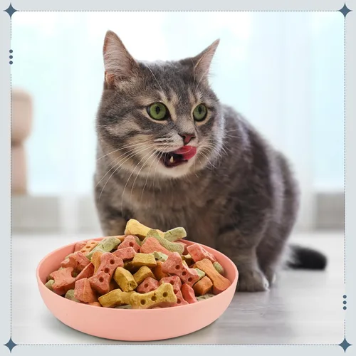 Miniatura 5 de Tioncy 24 cuencos de comida para gatos de 5.5 pulgadas, para aliviar la fatiga, plato de comida para gatos poco profundo y ancho para mascotas, Four