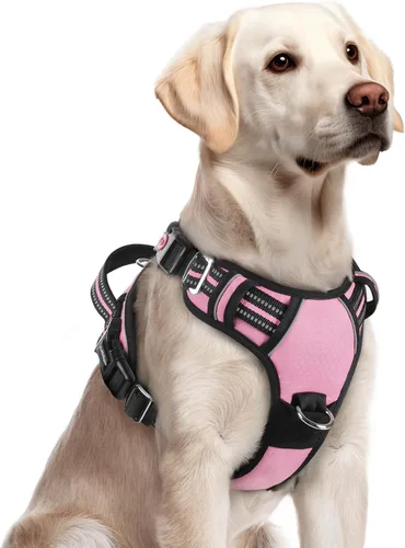 Miniatura 43 de rabbitgoo Arnés para perro de tamaño pequeño, chaleco para perro sin tirones con 3 hebillas, arnés ajustable y acolchado suave para mascotas con asa