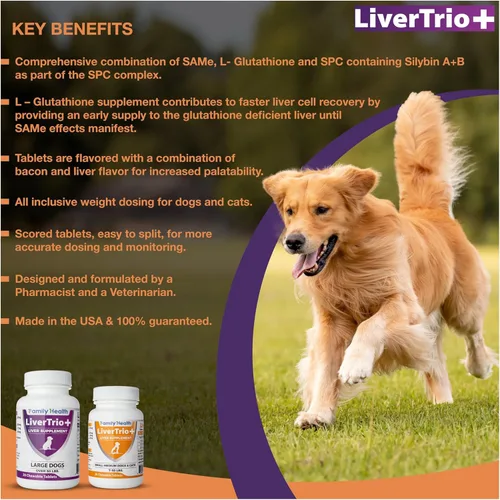 Miniatura 10 de Suplemento integral de apoyo hepático para perros más pequeños. Tabletas masticables sabrosas que combinan las mismas, SPC, silybin A+B, + glutatión