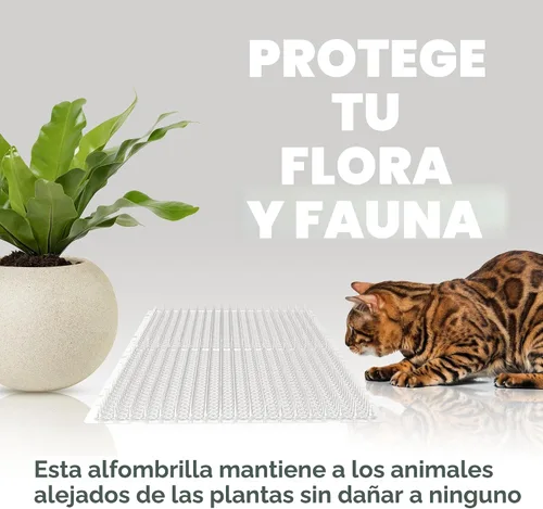 Miniatura 5 de Petfolio Paquete de 12 Alfombrillas Repelentes para Gatos - Alfombrilla de Púas para Gatos de 16 x 13 Pulgadas con Púas de 1 Pulgada es un