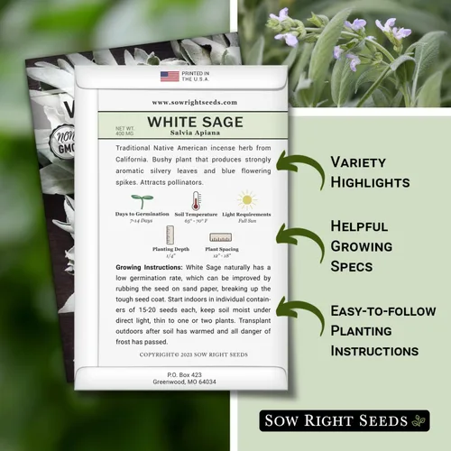 Miniatura 2 de Sow Right Seeds - Semilla de salvia blanca para plantar - Paquete de reliquia sin OMG con instrucciones para plantar y cultivar un jardín de hierbas