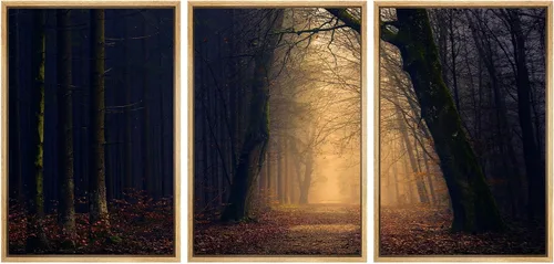 Miniatura 68 de SIGNWIN Lienzo enmarcado para pared, juego de arte nublado de tormenta, cielo, bosque otoñal, árboles, rústico, naturaleza, fotografía, realismo