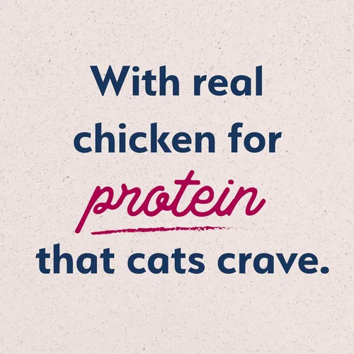Miniatura 9 de Natural Balance Alimento ultra seco original para gatos, receta de harina de pollo y salmón, salud de todo el cuerpo para gatitos a gatos adultos, 6