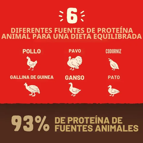 Miniatura 5 de Stella & Chewy's Wild Red Raw Blend Kibble - Croquetas de mezcla cruda – Alimento para perros revestido crudo liofilizado de primera calidad