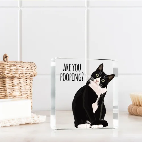 Miniatura 5 de ¿Estás haciendo caca? Letrero divertido, decoración de gato negro, decoración de baño acrílica de gato, decoración creativa para el hogar, regalo