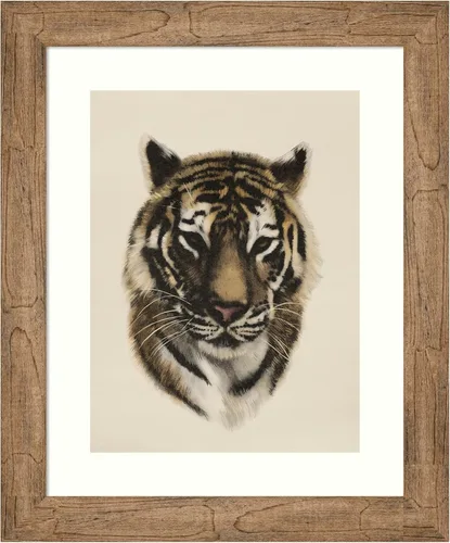 Amanti Art Framed Wall Art Print 24x20 Antique Tiger Portrait I by Victoria Barnes, Animals Wall Art, Vintage Decor, Small Poster Painting Artwork