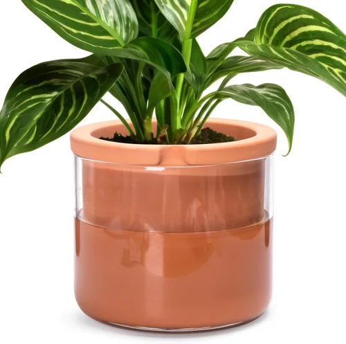 Miniatura 14 de Maceta auto-regante Phoenix Vine de 6 pulgadas, diseño en terracota blanca para plantas, maceta cilíndrica de terracota interior con jarrón de Blanco