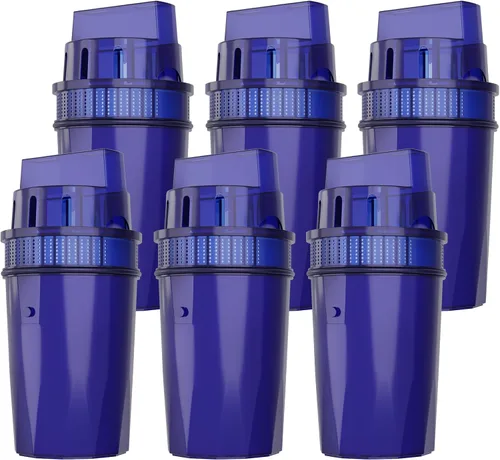 Fil-Fresh Paquete de 6 Filtros de Repuesto PURWater, Jarras y Dispensadores de Agua PURPlus, Reemplaza PPF900Z, Certificado NSF, Versión Avanzada