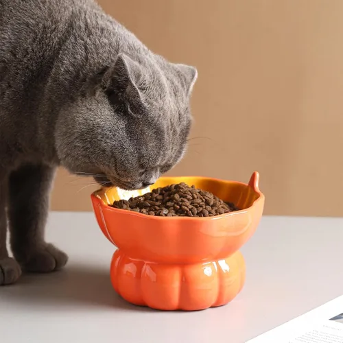 Miniatura 4 de Lindo cuenco en forma de calabaza, cuenco elevado de cerámica para gatos para comida o agua, antivómito y amigable con los bigotes, plato pequeño