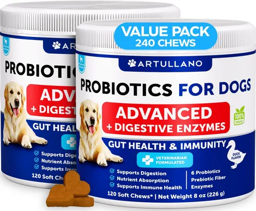 Miniatura 9 de Probióticos para Perros - Apoyo para la Salud Intestinal, Picor en la Piel, Alergias, Inmunidad, Equilibrio de Levadura - Probióticos para Perros