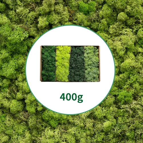 Miniatura 2 de TurelinnG Musgo Preservado de Manualidades de Reno de 4 Colores, Total 14 OZ Cada Color 3.5 OZ, Musgo Artificial Adecuado para Parterres
