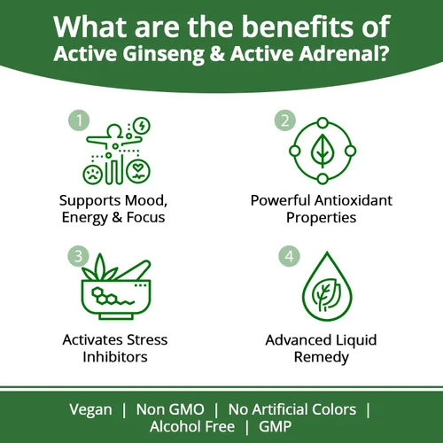 Miniatura 2 de Rejuvica Health Paquete de energía definitiva: ginseng activo y suprarrenal activo. Aumenta tus niveles de energía con ginseng, rodiola