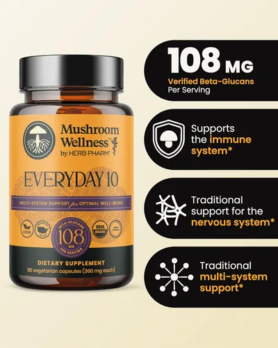 Miniatura 2 de Mushroom Wellness Everyday 10: Cápsulas orgánicas de hongos 10 en 1 con melena de león, shiitake, reishi, cola de pavo y más, suplemento en polvo