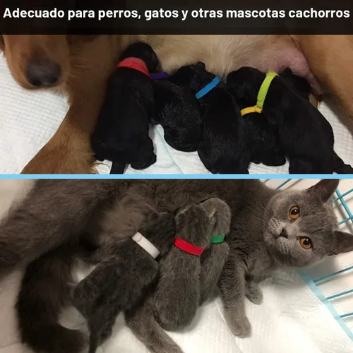 Miniatura 6 de 15 Piezas Collares de Parto para Cachorros Collares para Mascotas Recién Nacidas Bandas de Identificación Ajustables Suaves de Doble Cara Collares