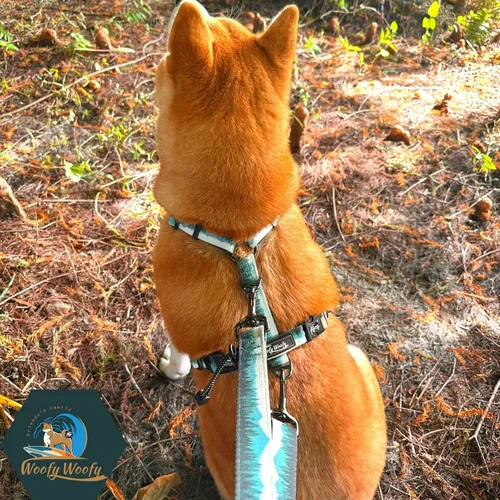 Miniatura 6 de Casual H - Arnés para perro, arnés sin tirones para mascota, con 2 clips para correa, chaleco acolchado suave ajustable para perros pequeños