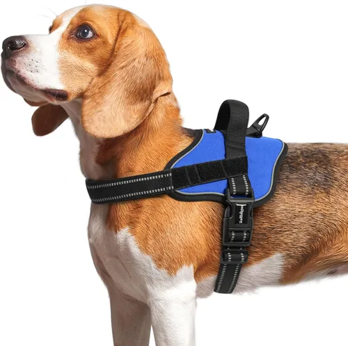 Miniatura 13 de rabbitgoo Arnés para perro de tamaño pequeño, chaleco para mascotas sin tirones, sin estrangulamiento, fácil de llevar con una hebilla, reflectante