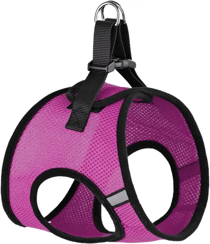 Miniatura 15 de Dogline York Step-in Air - Arnés de malla para perro, sin estrangulamiento, chaleco suave acolchado en el pecho para cachorros, perros pequeños