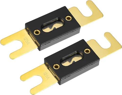 X AUTOHAUX 2 fusibles de repuesto 125A ANL fusibles para coche, camión, motocicleta, barco, CD de audio