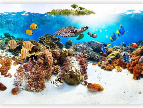 Miniatura 12 de artgeist Mural de pared premium mundo submarino, 98 x 69 pulgadas, papel tapiz no tejido XXL, decoración de pared de vellón, impresión fotográfica