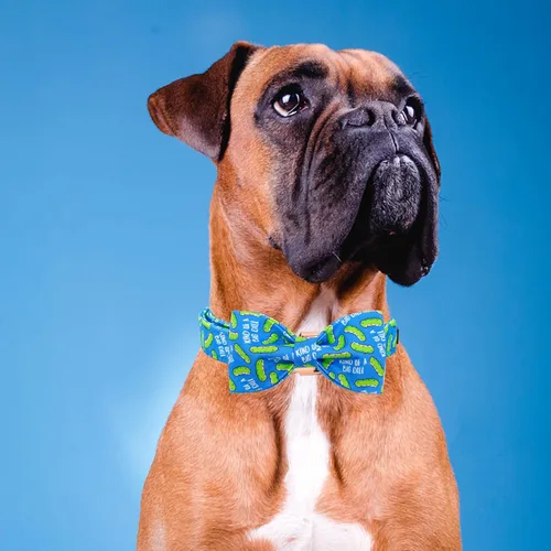 Miniatura 5 de Collar para perro Elegant Little Tail con moño, estampado de pepinillos, collar de moño lindo para perros pequeños eneldo
