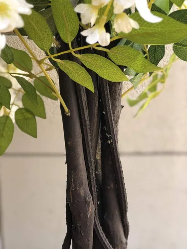 Miniatura 4 de AMERIQUE Árbol artificial de glicina floreciente, hermoso y denso, de 6 pies, blanco crema, preinstalado con maceta de vivero, tecnología Real