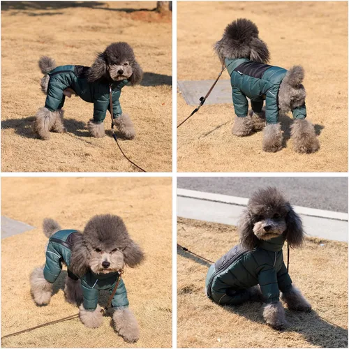 Miniatura 4 de ArmyGreen Abrigo para Perros - Chaleco reflectante cálido para perros pequeños, medianos y grandes, impermeable, resistente al viento, con Verde