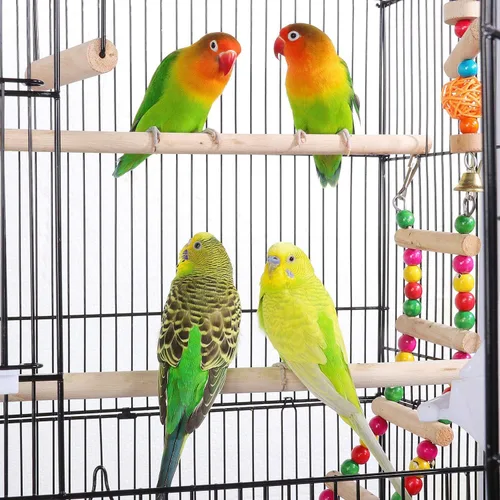Miniatura 7 de Yaheetech Jaula para pájaros de 64 pulgadas, tamaño mediano y pequeño, jaulas para pájaros con soporte rodante desmontable para loros, tortolitos