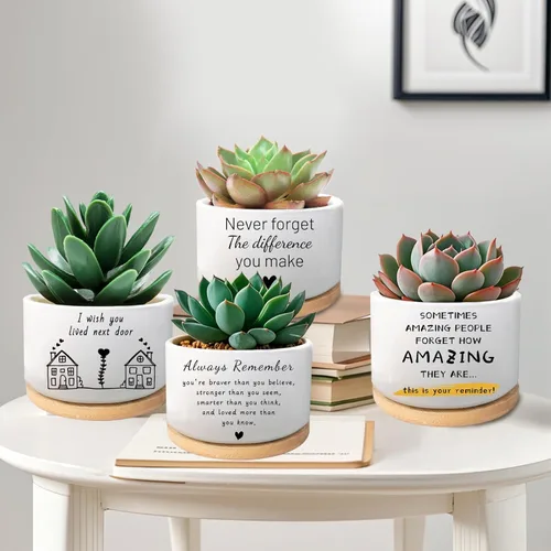 Miniatura 6 de Regalos para Amigas, Desearía Que Vivieras al Lado, Linda Maceta de Suculenta, Maceta de Flores, Regalos de Amistad para Relación a Larga Distancia