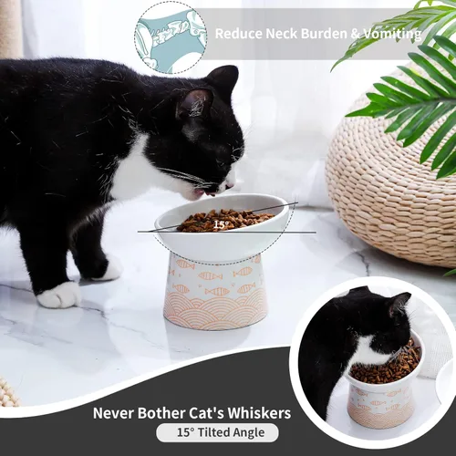 Miniatura 4 de Juego de 2 cuencos elevados de cerámica inclinados para gatos y perros pequeños, platos elevados de porcelana para alimentación sin estrés