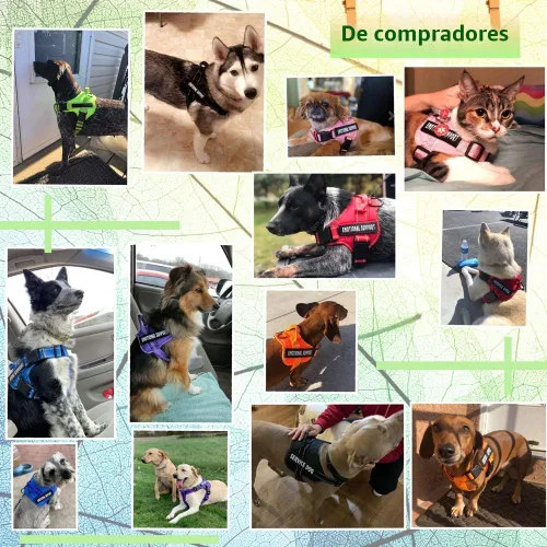 Miniatura 3 de voopet - Arnés para perro de servicio, mascota de asistencia o apoyo emocional - Reflectante, transpirable y ajustable, sin tirones - P/perro Rosado