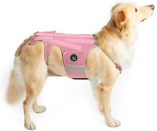 Miniatura 10 de Coodeo Soporte de espalda para perros para artritis, soporte de espalda para mascotas para IVDD, protector de espalda ayuda a aliviar el dolor, Azul
