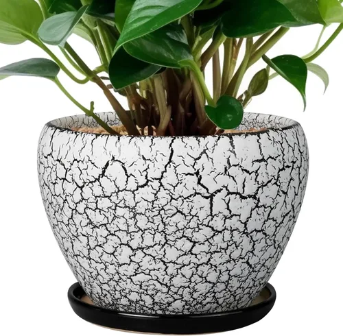 Miniatura 61 de Maceta de Cerámica Moderna con Esmalte para Suculentas con Agujero de Drenaje y Platillo, Maceta Redonda de 6 Pulgadas para Plantas de Flores