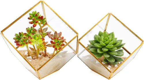 Miniatura 9 de ELEGANTLIFE Terrario geométrico de cristal para plantas suculentas, maceta de aire para decoración del hogar, jardín, oficina (casa negra)