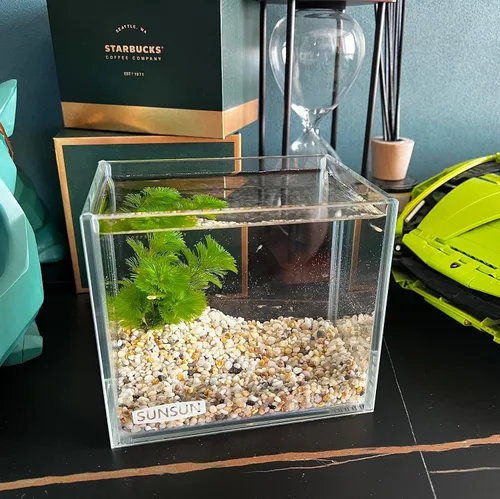 Miniatura 5 de AWXZOM Pequeño Tanque Nano Alto Sin Montura, Tanque de Peces de Vidrio, Tanque Betta (0.7 Galones, 5.9x4.3x5.1in/15x11x13cm)